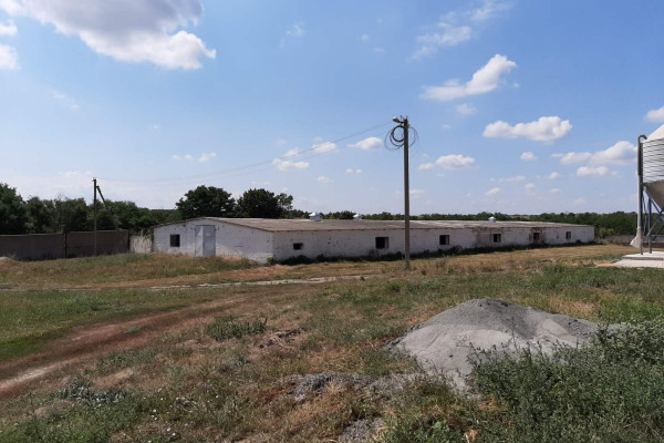 Продаж птахофабрики в Черкаській області